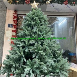 cây thông Noel cao 3m