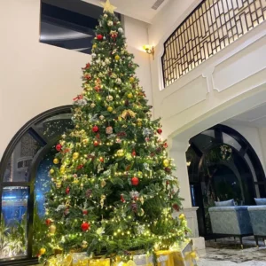 Cây thông noel 4m5