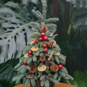 Cây Thông Noel 60cm