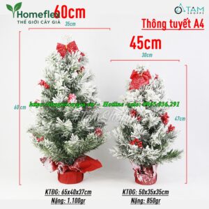 Cây Thông Noel 60cm