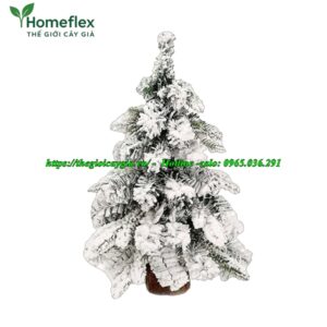 Cây Thông Noel 60cm