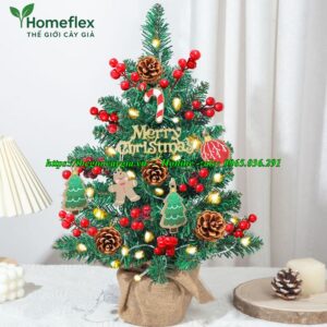 Cây Thông Noel 60cm
