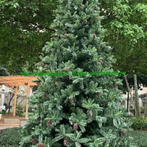 Cây thông noel 7m