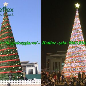 Cây thông noel 7m