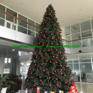 Cây thông noel cao 5m