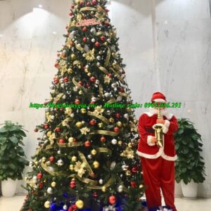 Cây thông noel cao 5m