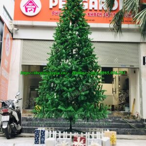 Cây thông noel cao 5m
