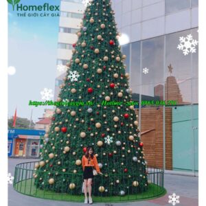 Cây thông noel cao 5m
