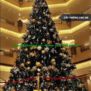 Cây thông noel cao 5m