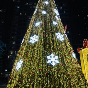 Cây thông noel cao 6m