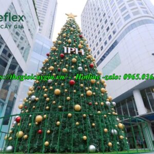 Cây thông noel cao 6m