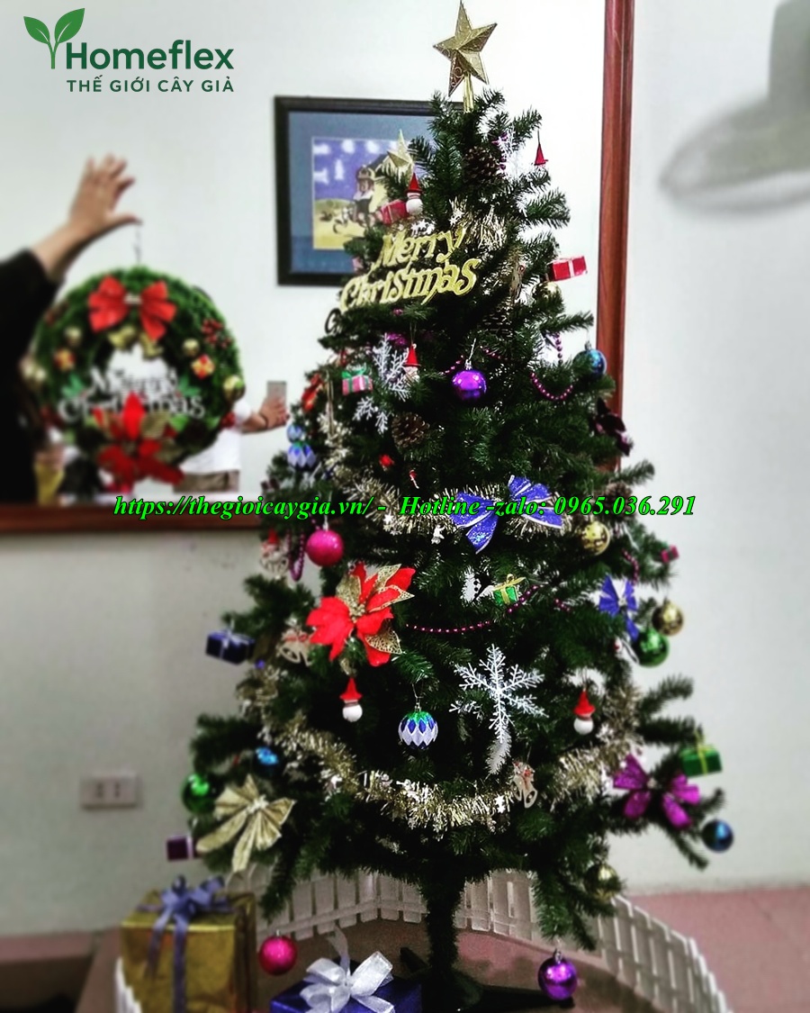 Combo Cây Thông Noel Giả Kèm Phụ Kiện