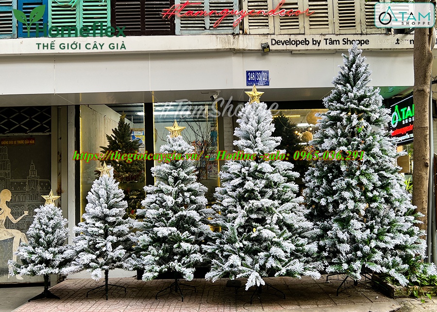 Cây Thông Noel Giả Phủ Tuyết
