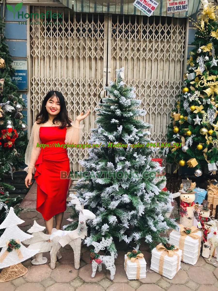Cây Thông Noel Giả Phủ Tuyết