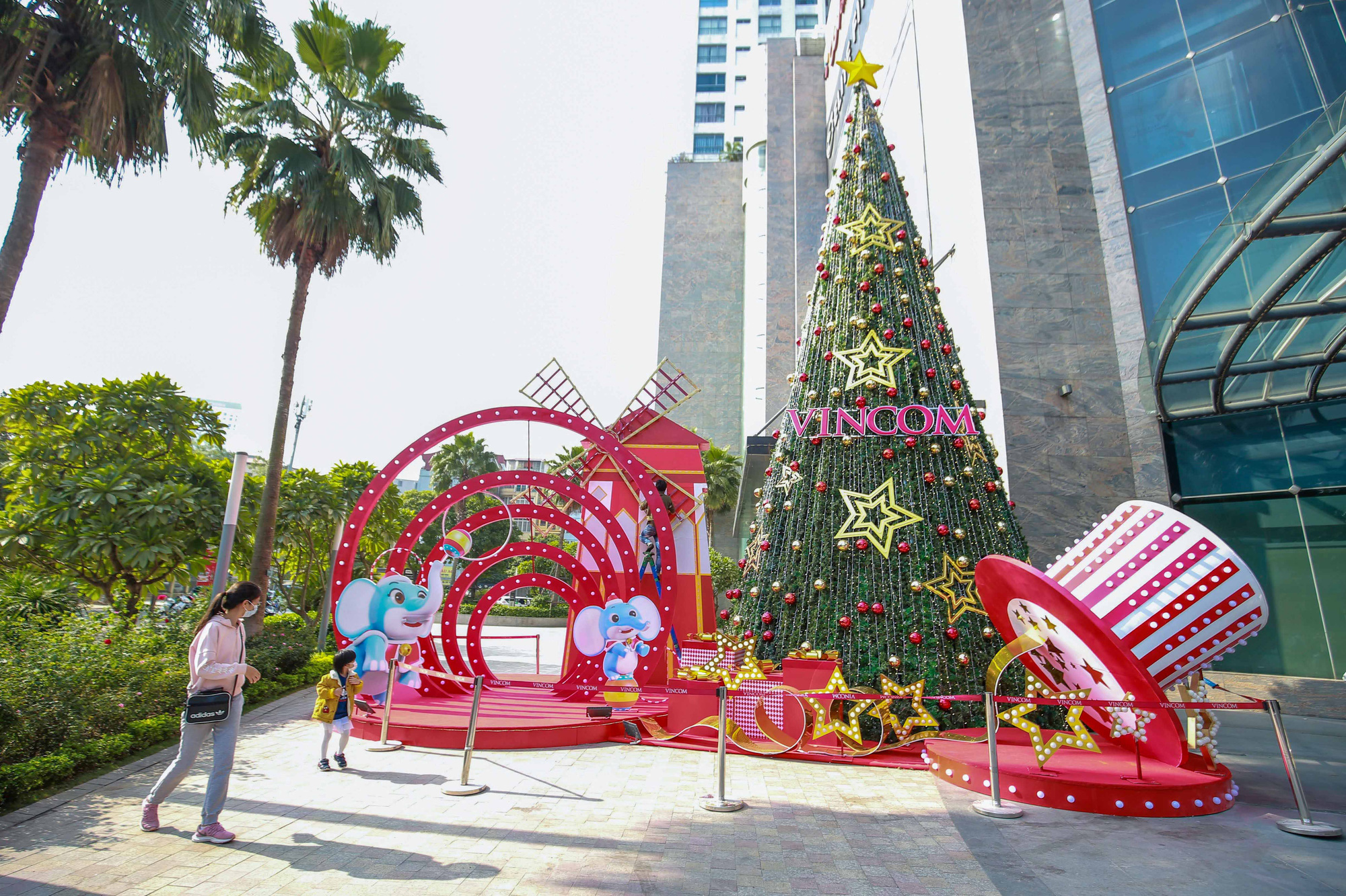 Cây thông noel khổng lồ to, cao nhất thế giới