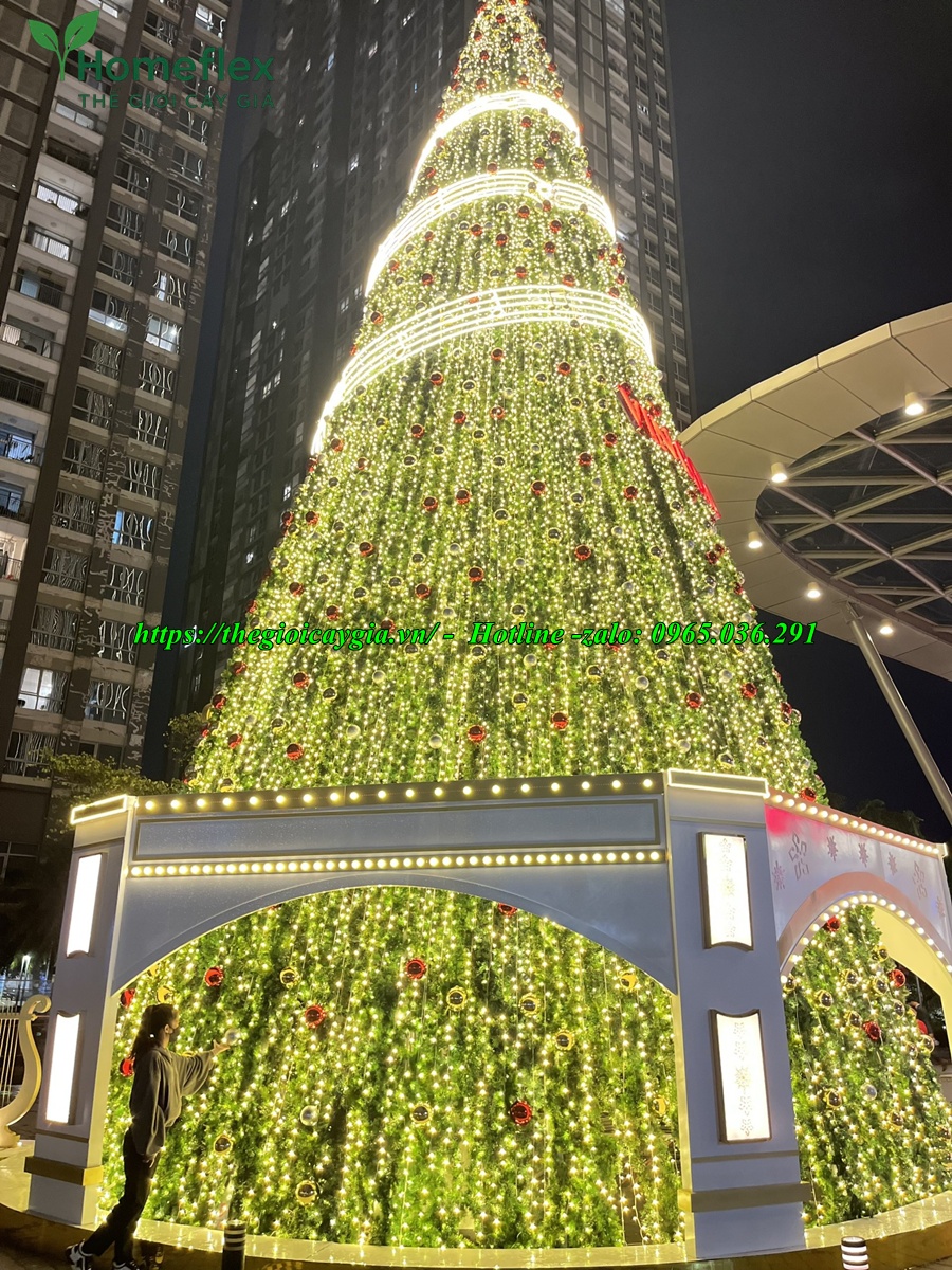 Cây thông noel khổng lồ to, cao nhất thế giới