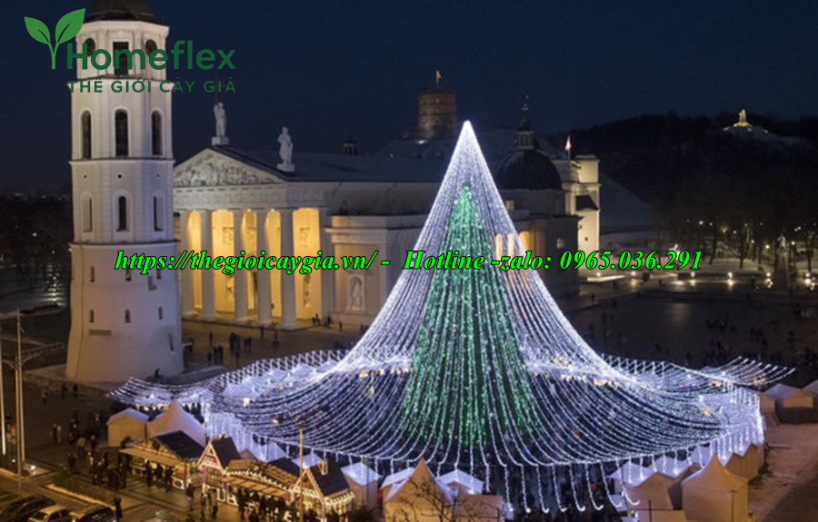 Cây thông noel khổng lồ to, cao nhất thế giới
