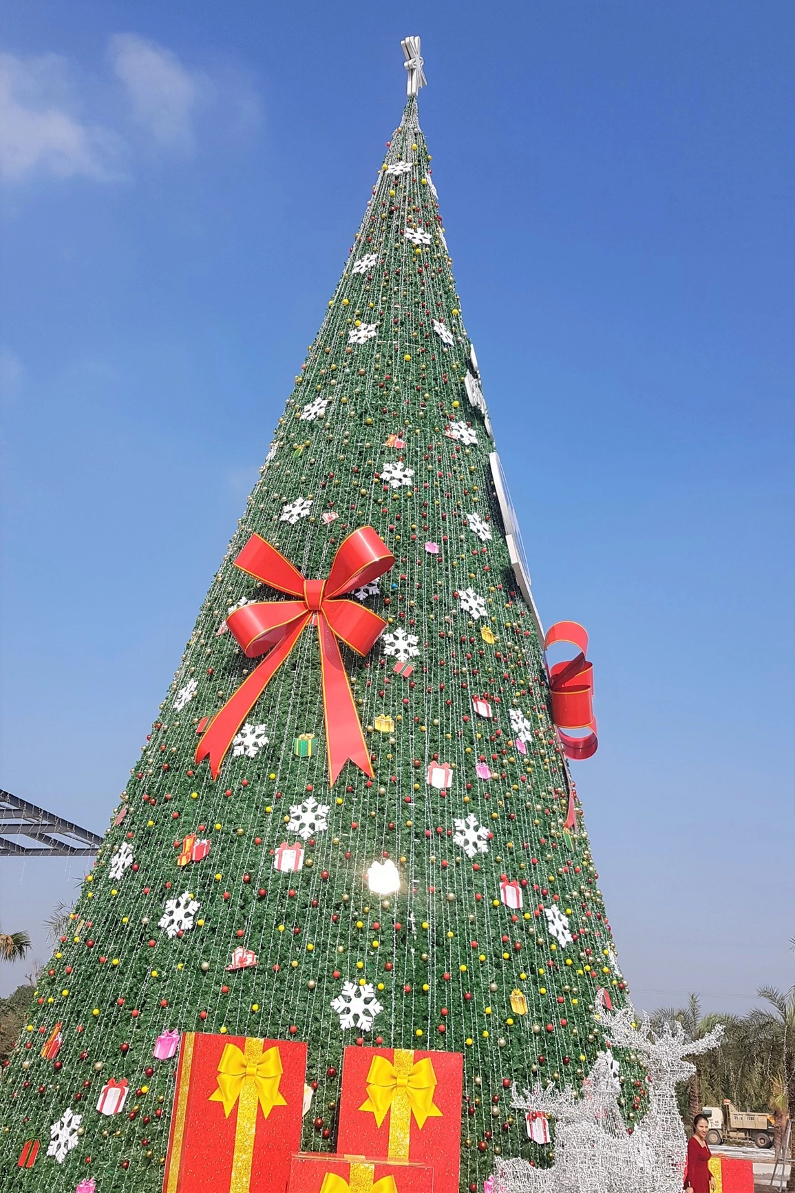Cây thông noel khổng lồ to, cao nhất thế giới