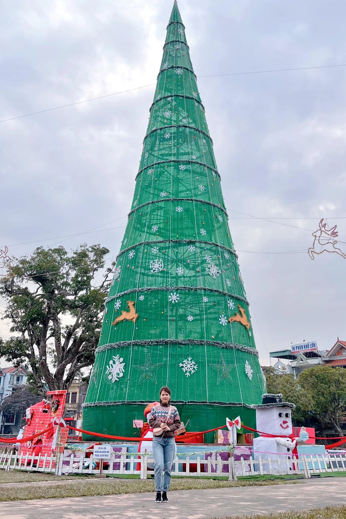 Cây thông noel khổng lồ to, cao nhất thế giới