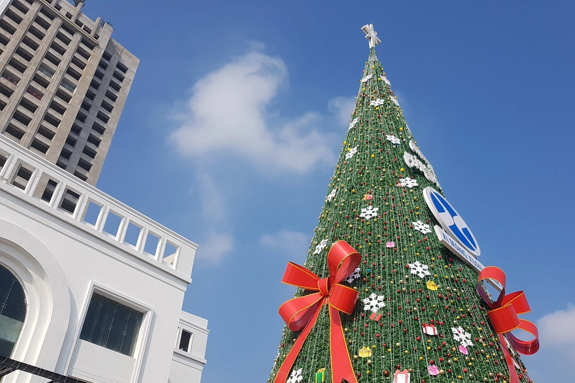 Cây thông noel khổng lồ to, cao nhất thế giới