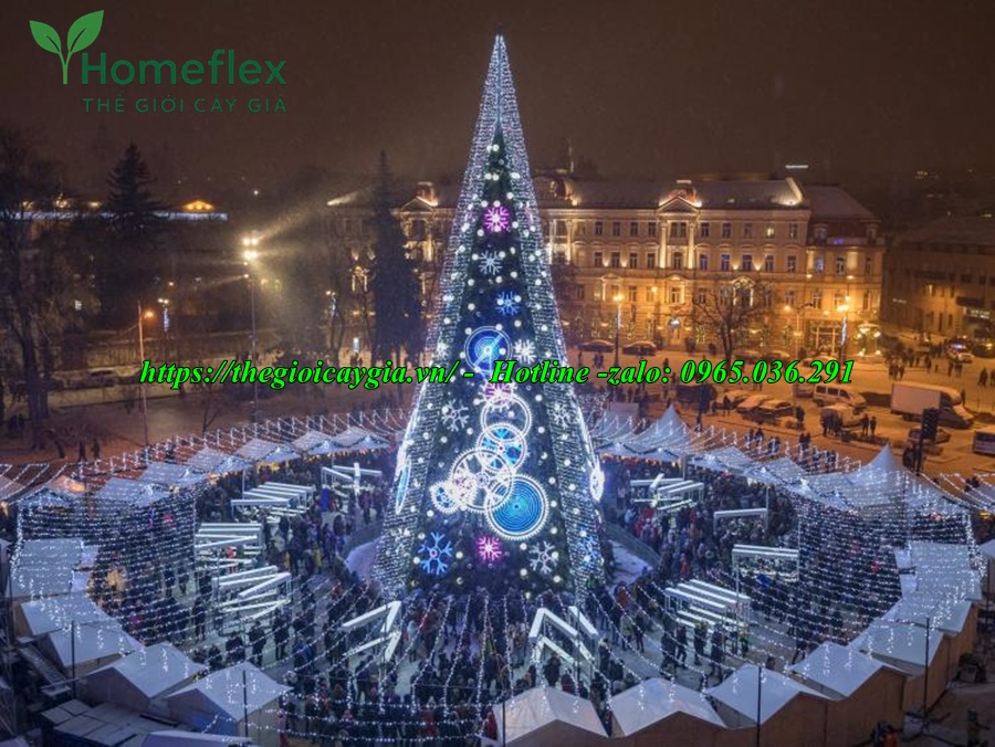 Cây thông noel khổng lồ to, cao nhất thế giới