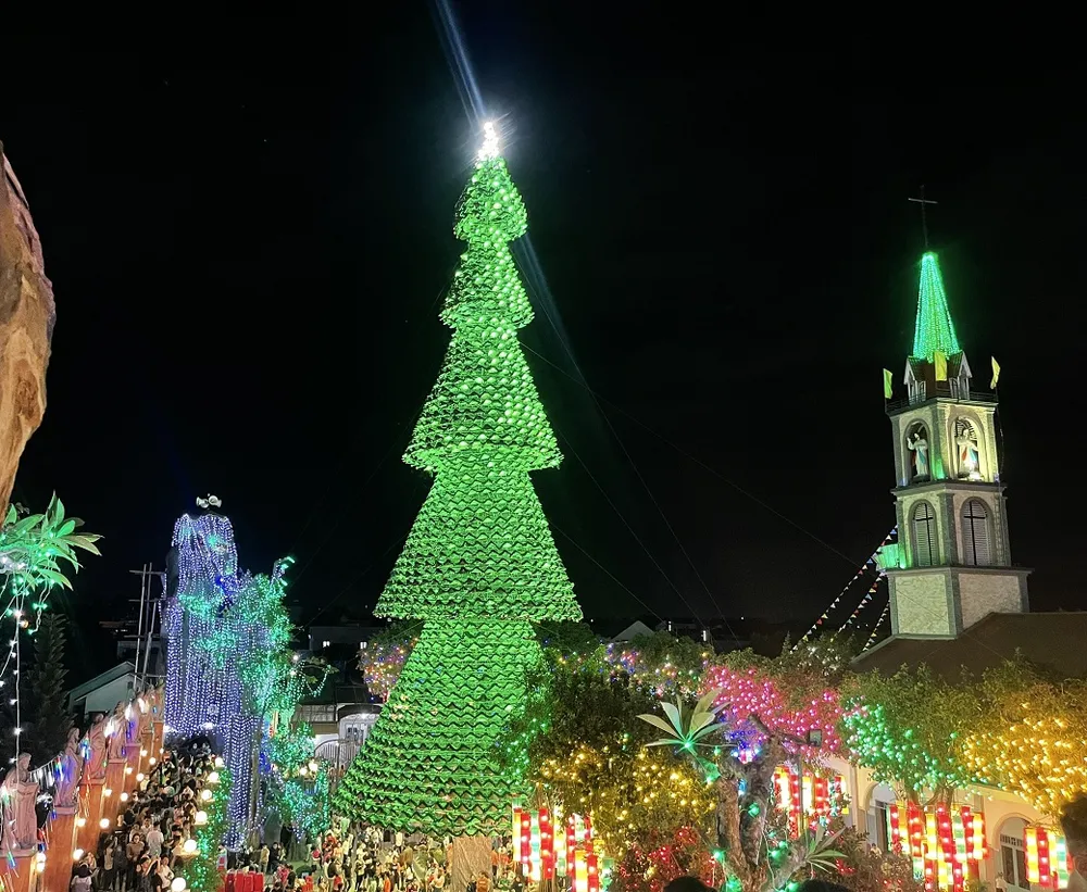 Cây thông noel khổng lồ to, cao nhất thế giới