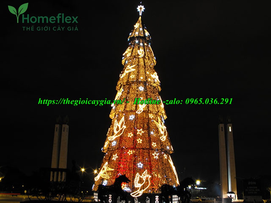 Cây thông noel khổng lồ to, cao nhất thế giới
