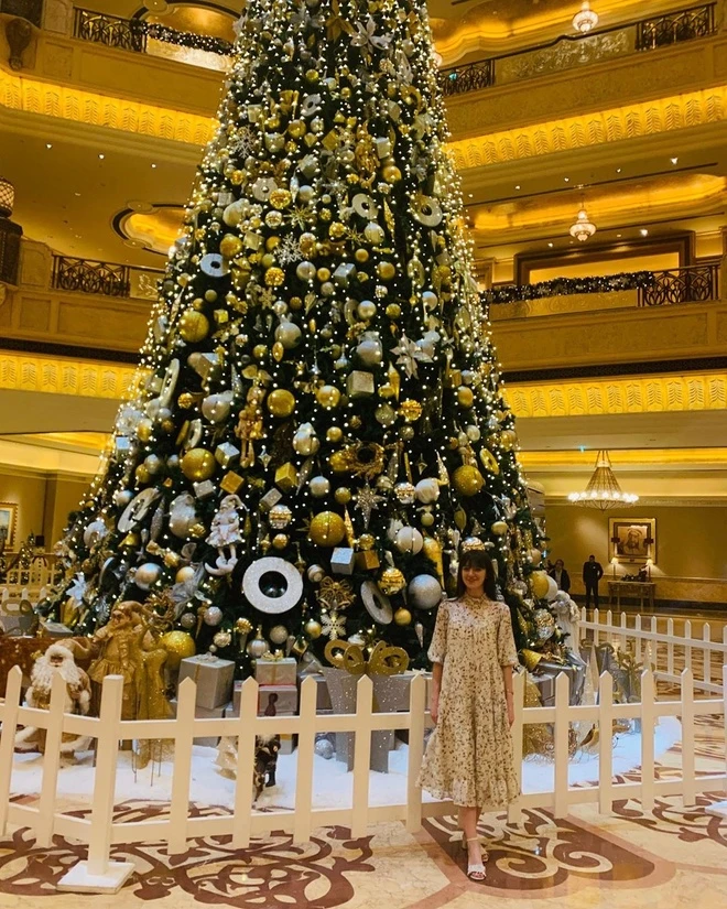 Cây thông noel khổng lồ to, cao nhất thế giới