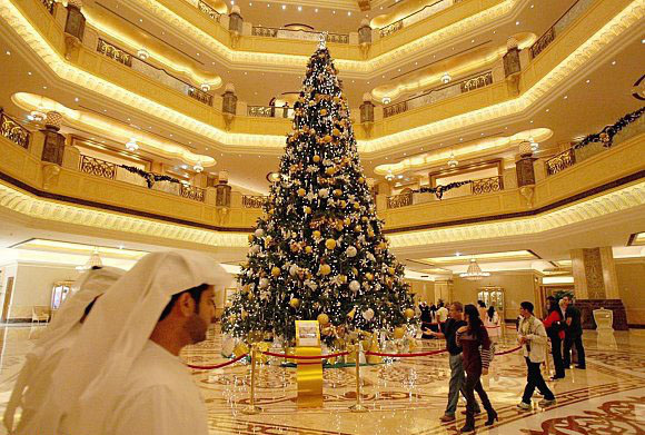 Cây thông noel khổng lồ to, cao nhất thế giới