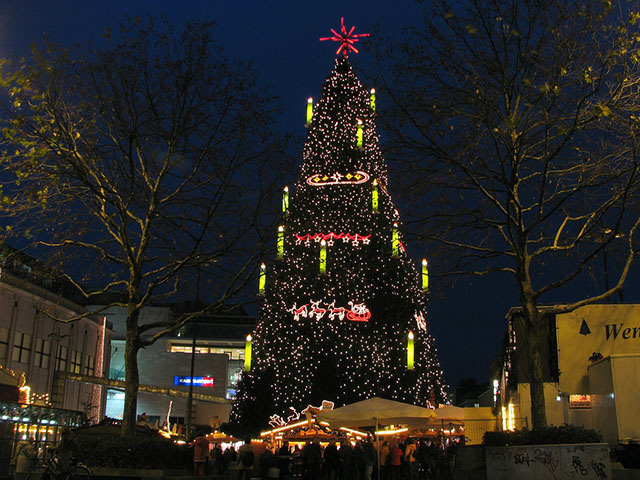 Cây thông noel khổng lồ to, cao nhất thế giới