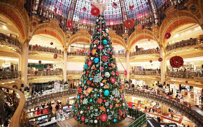 Cây thông noel khổng lồ to, cao nhất thế giới