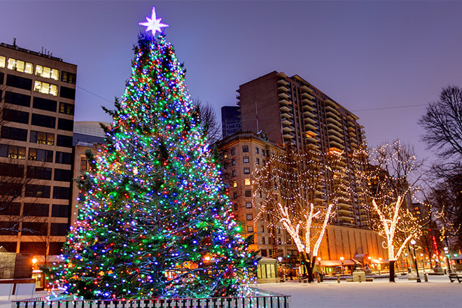 Cây thông noel khổng lồ to, cao nhất thế giới