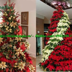 Cây thông noel màu đỏ
