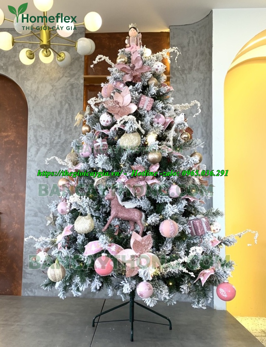 Cây thông noel màu hồng