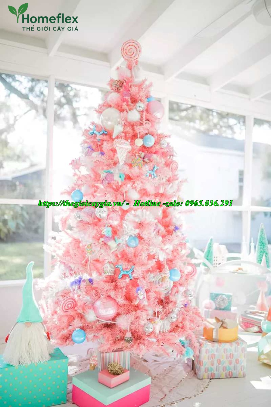 Cây thông noel màu hồng