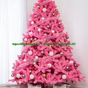 Cây thông noel màu hồng