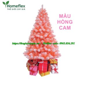 Cây thông noel màu hồng