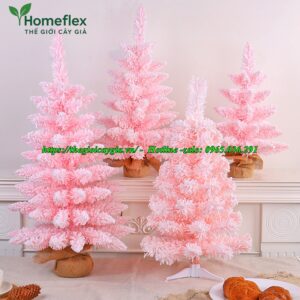 Cây thông noel màu hồng