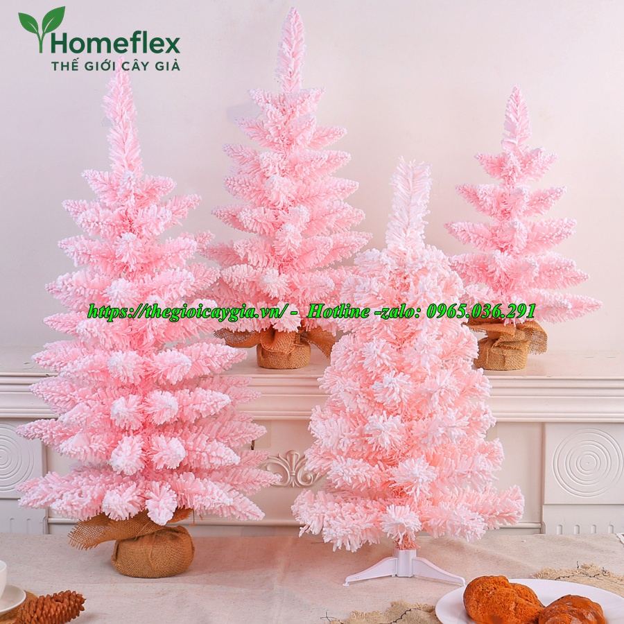 Cây thông noel màu hồng