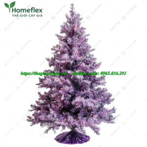 Cây thông noel màu tím