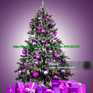 Cây thông noel màu tím