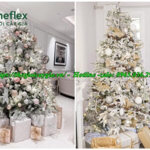 Cây thông noel màu trắng