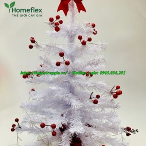 Cây thông noel màu trắng