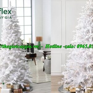 Cây thông noel màu trắng