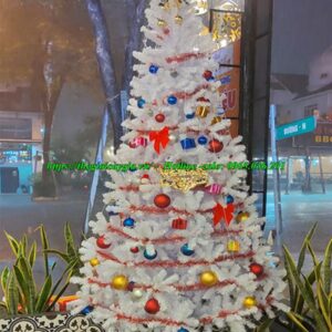 Cây thông noel màu trắng