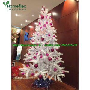 Cây thông noel màu trắng