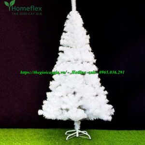 Cây thông noel màu trắng