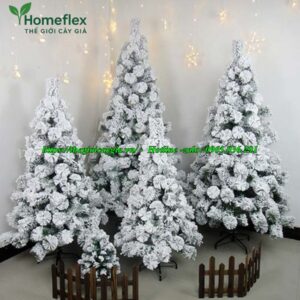 Cây thông noel màu trắng
