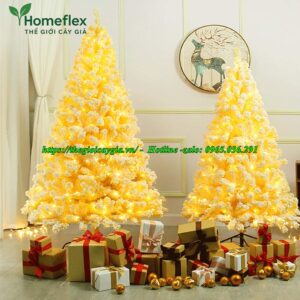 Cây thông noel màu vàng