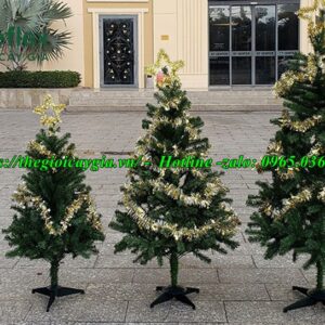 Cây thông noel màu xanh